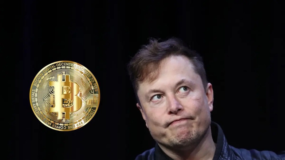 Cryptocurrency Live